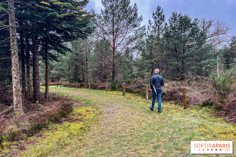 Arbor&Sens, l'Arboretum de Franchard en forêt de Fontainebleau - les photos