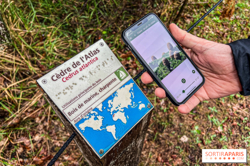 Arbor&Sens, l'Arboretum de Franchard en forêt de Fontainebleau - les photos