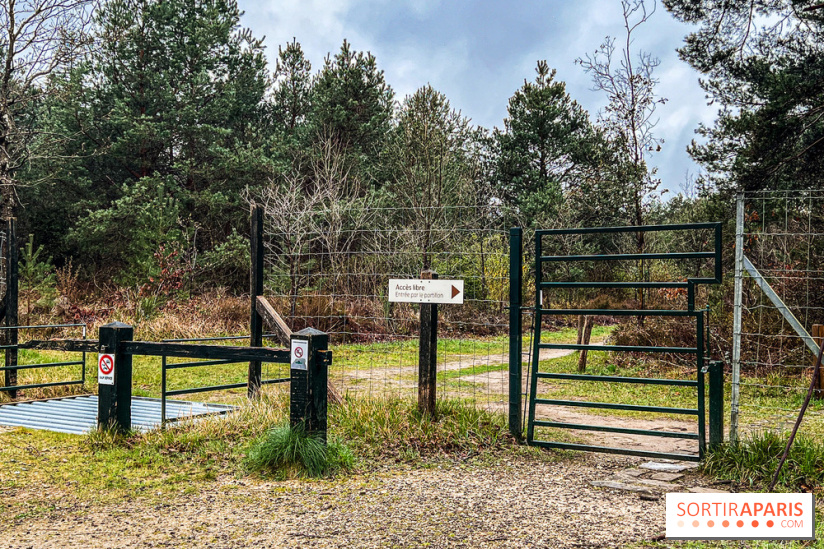 Arbor&Sens, l'Arboretum de Franchard en forêt de Fontainebleau - les photos
