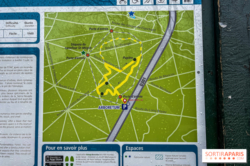 Arbor&Sens, l'Arboretum de Franchard en forêt de Fontainebleau - les photos - IMG 7899