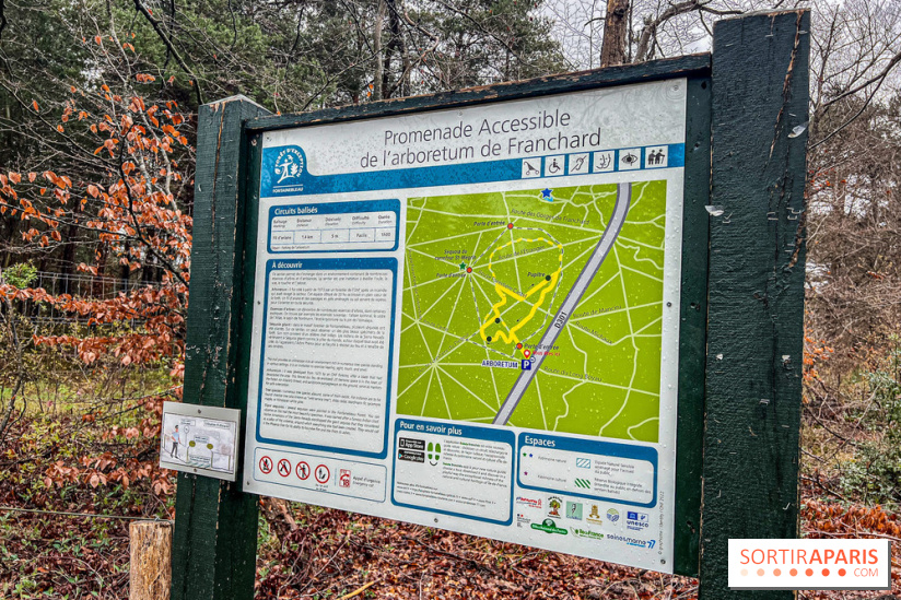 Arbor&Sens, l'Arboretum de Franchard en forêt de Fontainebleau - les photos