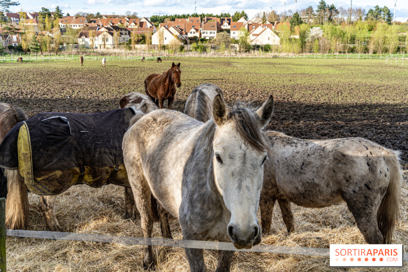 Le Parc du Château de Plaisir (78) - photos -  A7C0033