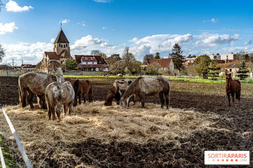 Le Parc du Château de Plaisir (78) - photos -  A7C0031