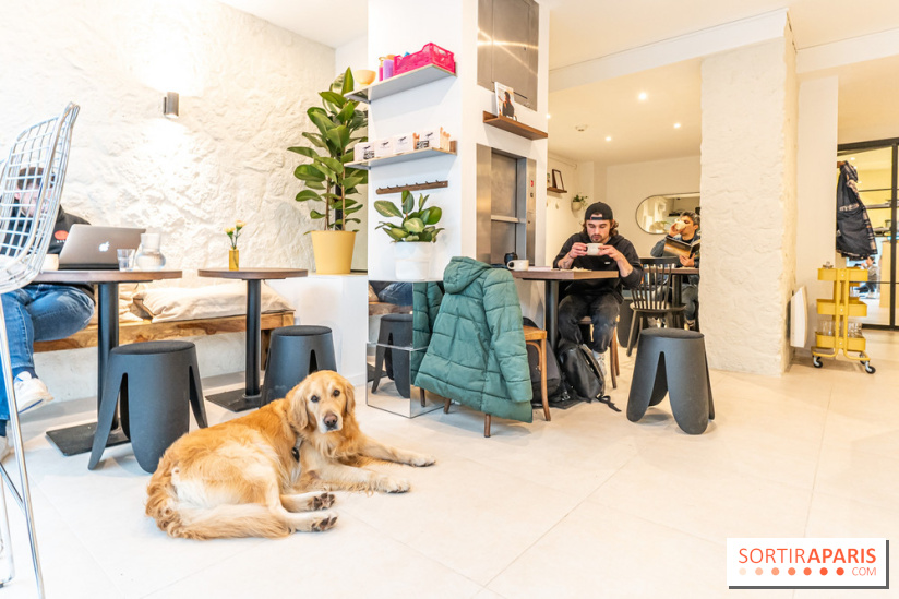 Seven Heaven, le coffee shop dog's friendly et kid's friendly de Paris 11e -  A7C0496