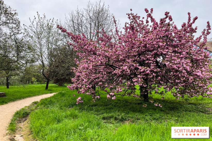 Arboretum de Paris - nos photos - image00036