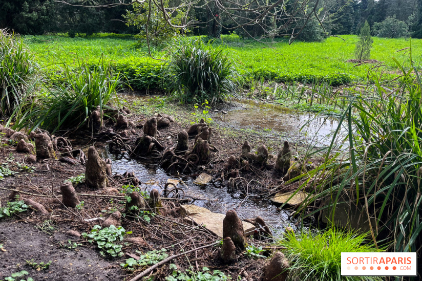 Arboretum de Paris - nos photos - image00031