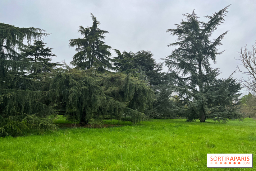 Arboretum de Paris - nos photos - image00032