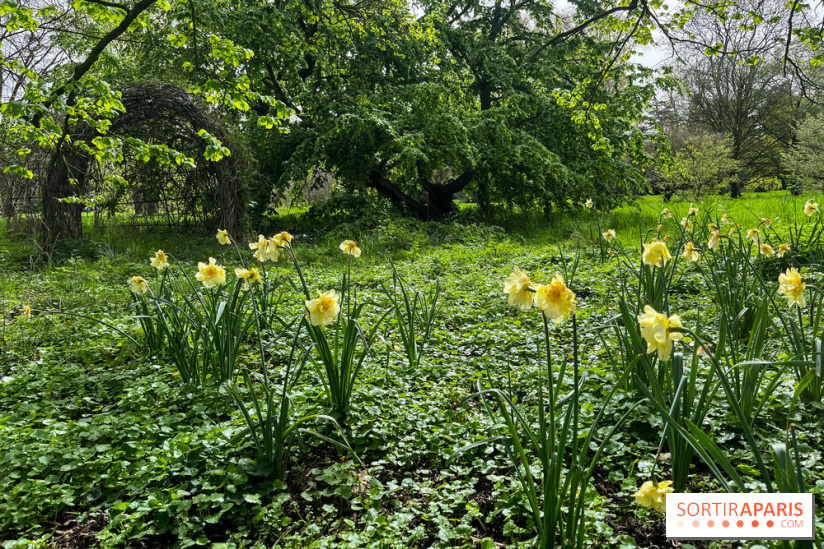 Jardin de l'Ecole du Breuil - nos photos