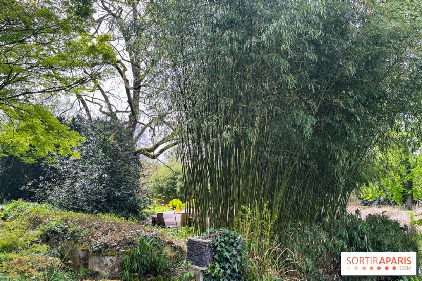 Jardin de l'Ecole du Breuil - nos photos