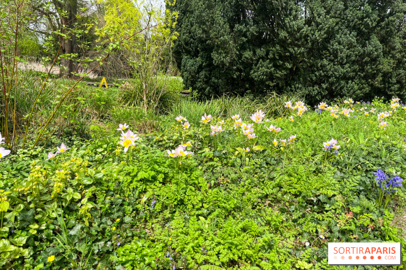 Jardin de l'Ecole du Breuil - nos photos
