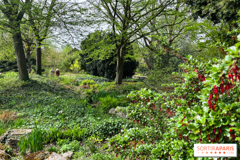 Jardin de l'Ecole du Breuil - nos photos