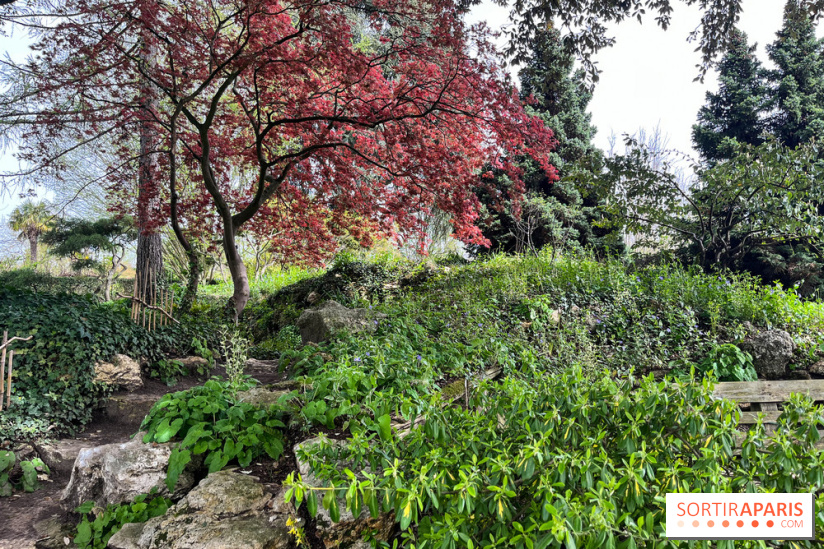 Jardin de l'Ecole du Breuil - nos photos