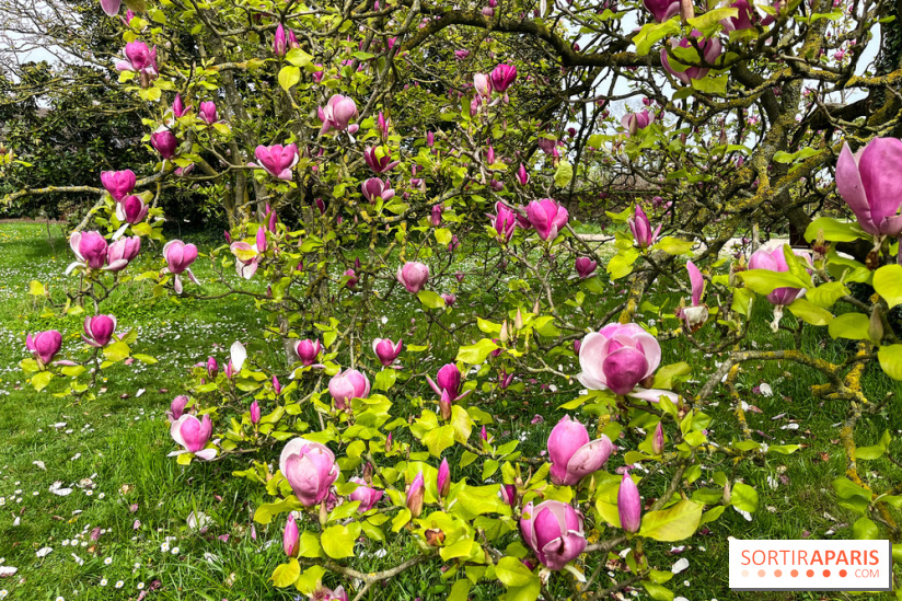 Jardin de l'Ecole du Breuil - nos photos