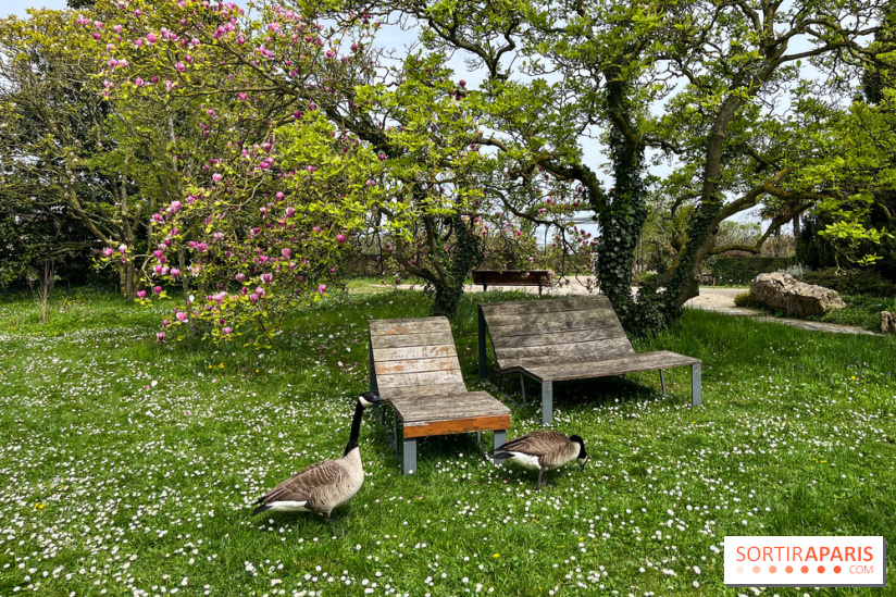 Jardin de l'Ecole du Breuil - nos photos