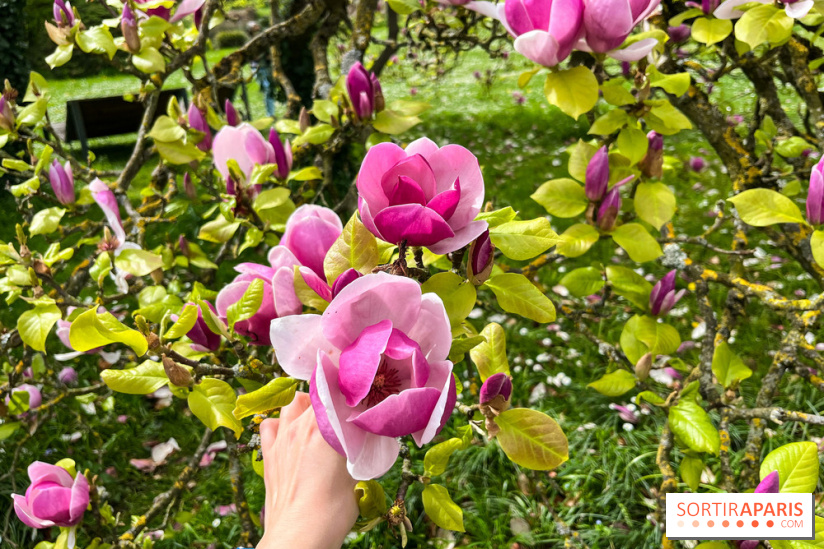 Jardin de l'Ecole du Breuil - nos photos
