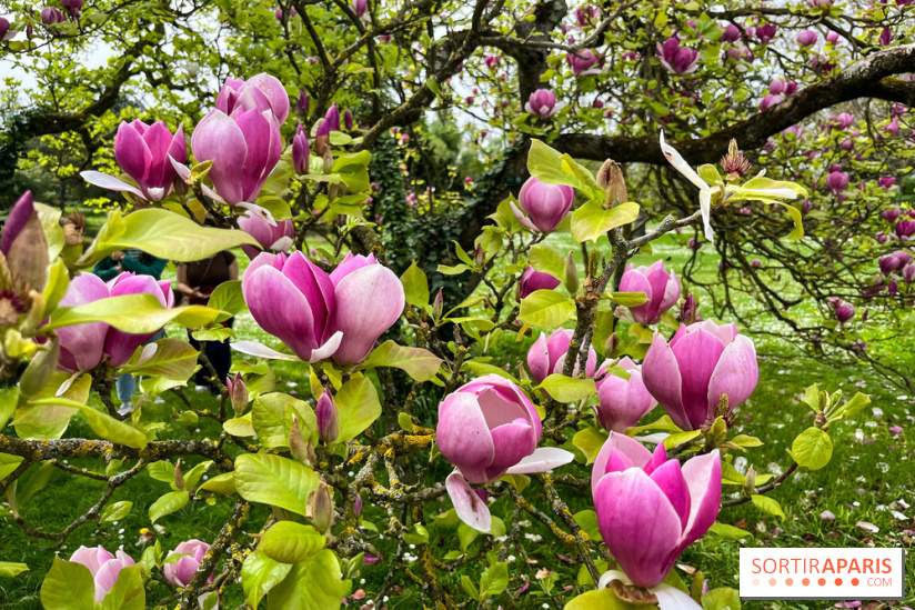 Jardin de l'Ecole du Breuil - nos photos