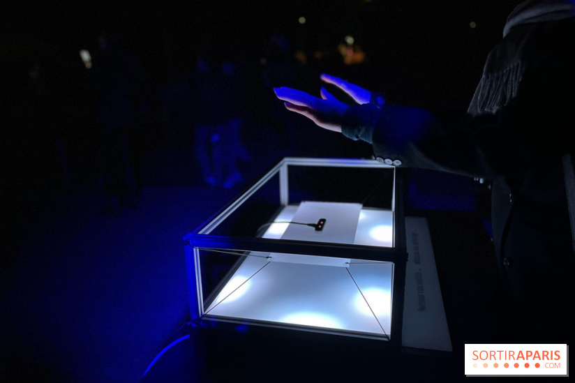 Les Nocturnes de l'Impressionnisme - IMG 0302