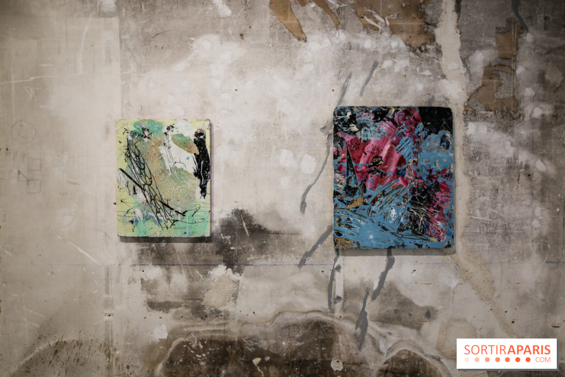 Exposition d'art contemporain à la Galleria Continua, nos photos - IMG 3615