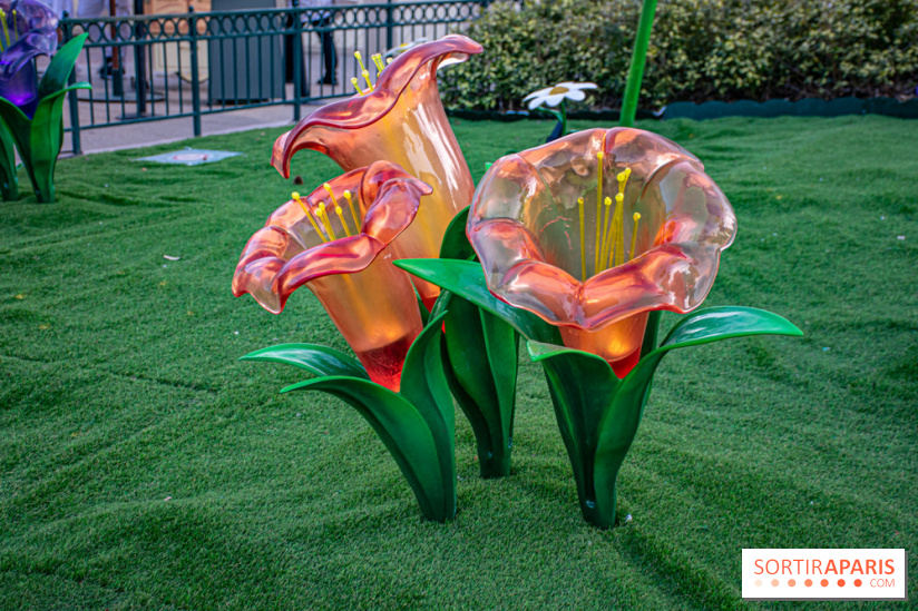 La Symphonie des Couleurs Disney à Disneyland Paris - DSC 9972