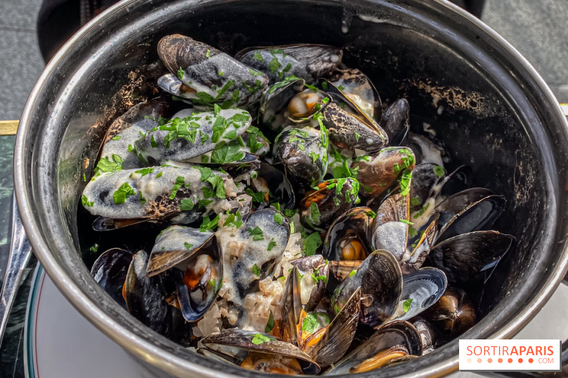 Rosalie Disney Village - IMG 5991 2