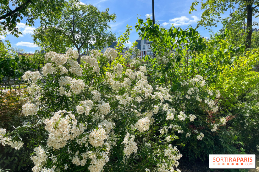 Jardin René Binet - nos photos