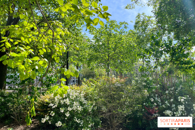 Jardin René Binet - nos photos