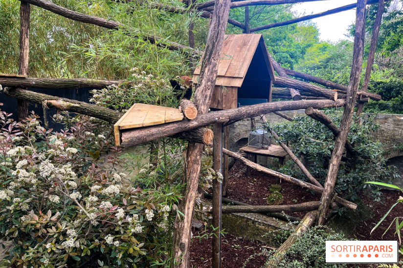 Ménagerie du Jardin des Plantes 2024 - panda