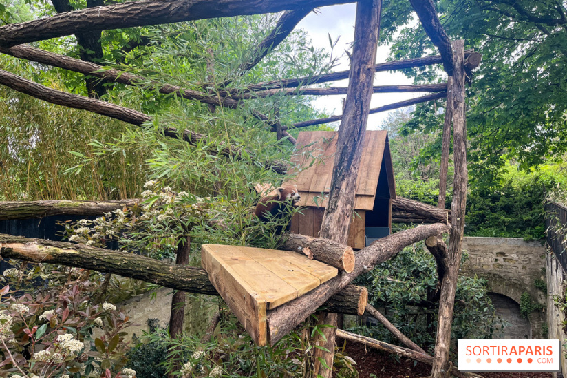 Ménagerie du Jardin des Plantes 2024 - nos photos - image00021