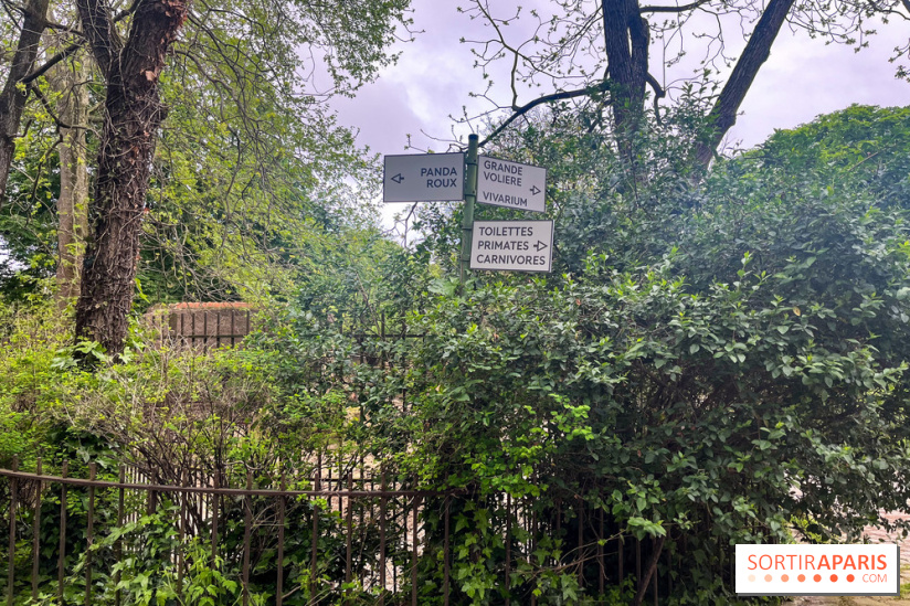 Ménagerie du Jardin des Plantes 2024 - nos photos - image00022