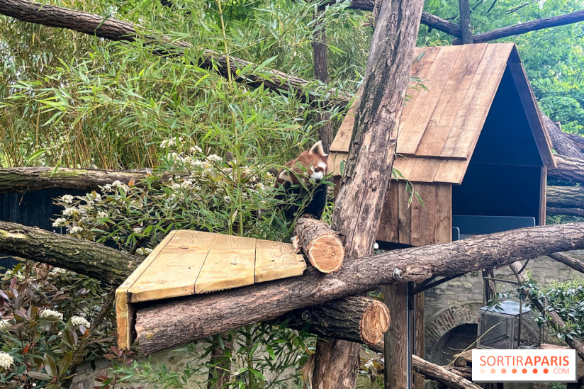 Ménagerie du Jardin des Plantes 2024 - nos photos - image00019