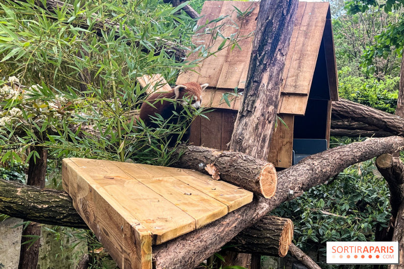 Ménagerie du Jardin des Plantes 2024 - nos photos - image00020