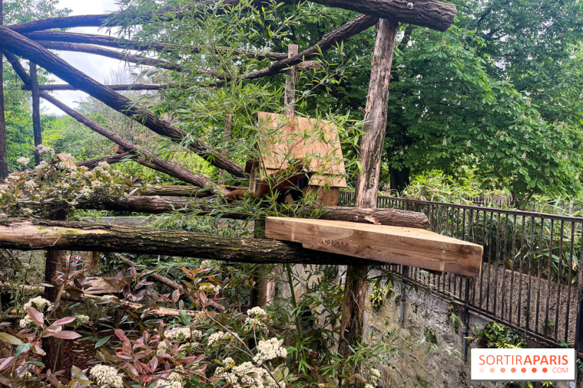 Ménagerie du Jardin des Plantes 2024 - nos photos - image00015