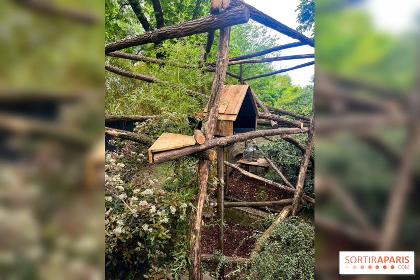 Ménagerie du Jardin des Plantes 2024 - nos photos - image00016