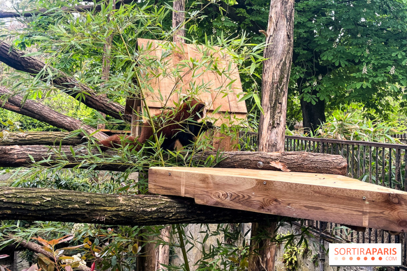 Ménagerie du Jardin des Plantes 2024 - nos photos