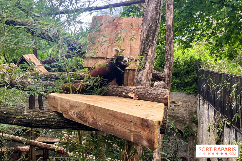 Ménagerie du Jardin des Plantes 2024 - nos photos