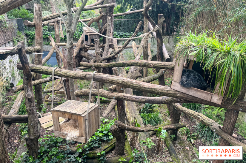 Ménagerie du Jardin des Plantes 2024 - nos photos