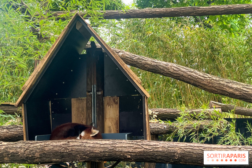 Ménagerie du Jardin des Plantes 2024 - nos photos - image00035