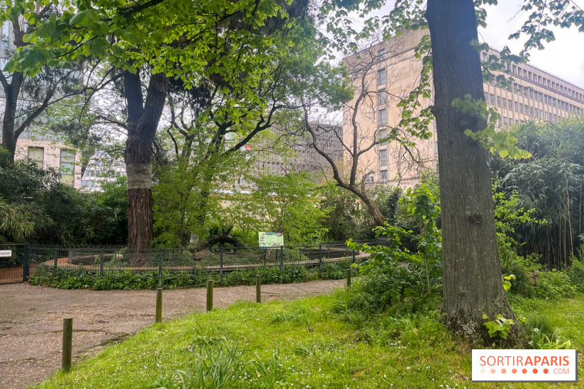 Ménagerie du Jardin des Plantes 2024 - nos photos