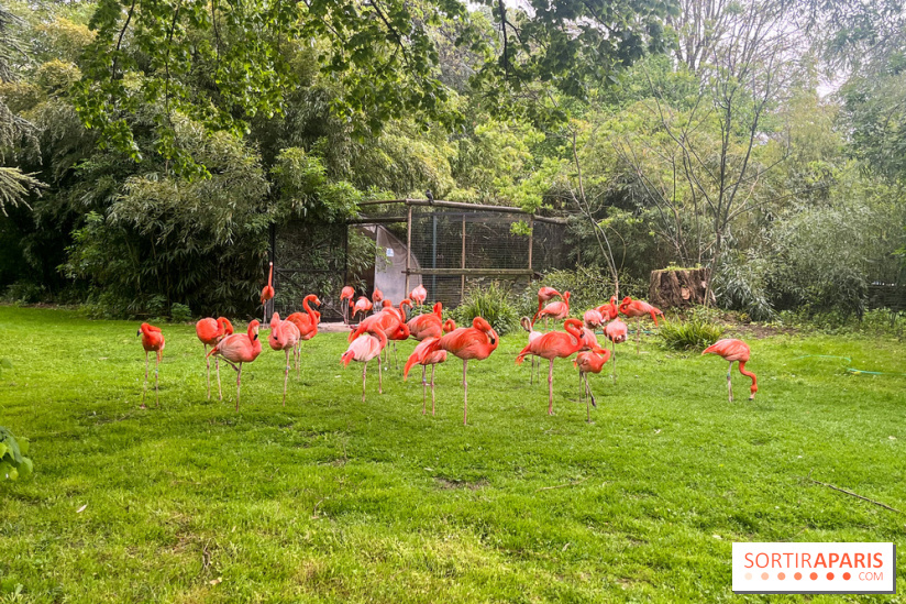 Ménagerie du Jardin des Plantes 2024 - nos photos