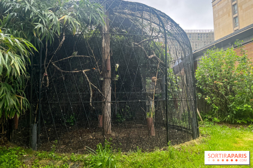 Ménagerie du Jardin des Plantes 2024 - nos photos