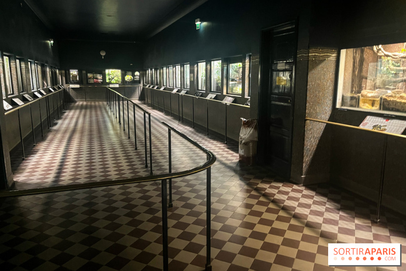 Ménagerie du Jardin des Plantes 2024 - nos photos - image00027