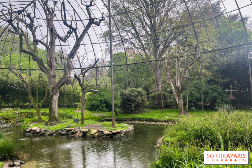 Ménagerie du Jardin des Plantes 2024 - nos photos