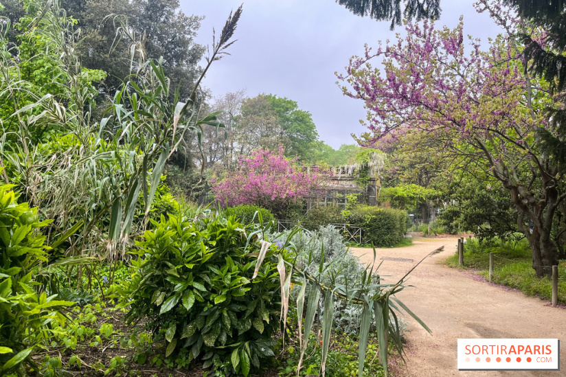 Ménagerie du Jardin des Plantes 2024 - nos photos
