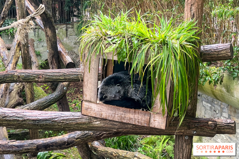 Ménagerie du Jardin des Plantes 2024 - nos photos - image00005