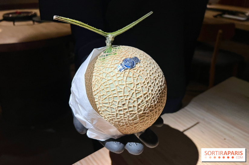 Marie Akaneya - Crown melon