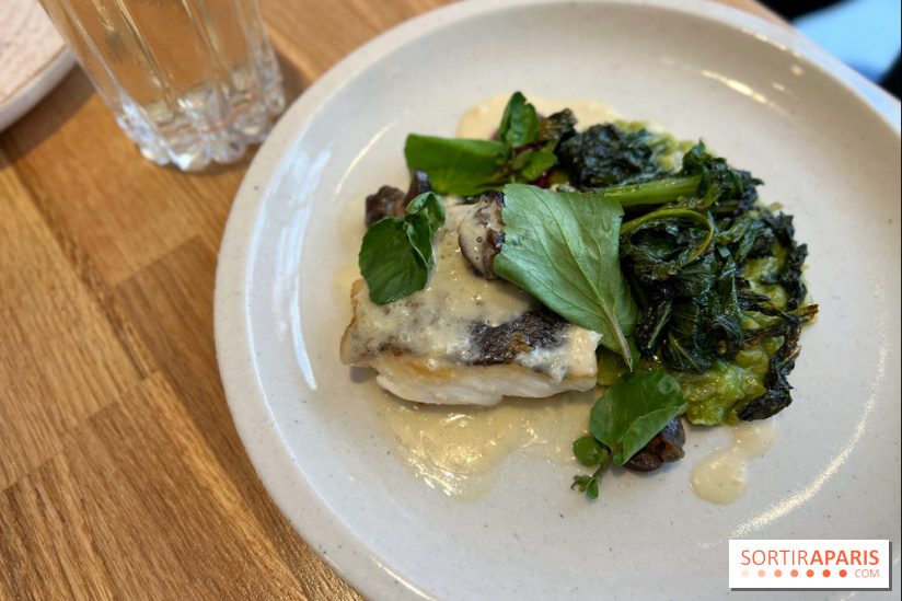 Brion - Poisson, curry vert, escargots