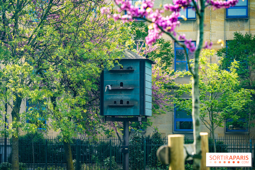 Parc de Choisy - Paris 13e -  A7C1206