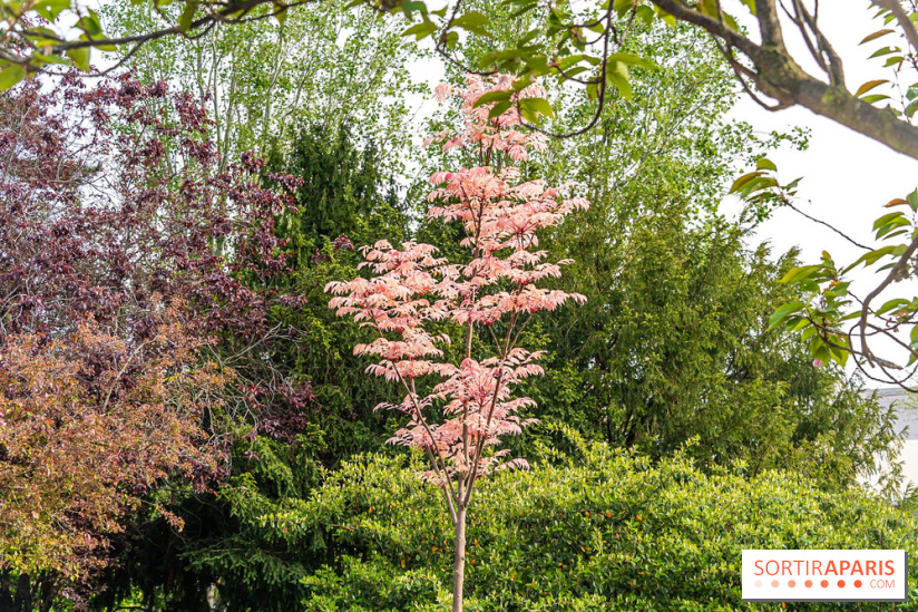 Parc de Choisy - Paris 13e -  A7C1209