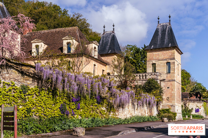 Village de Medan dans les Yvelines -  château de Medan - glycine