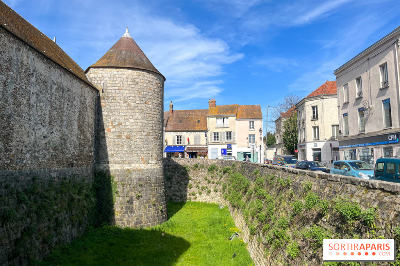 Château de Dourdan - nos photos - image00039